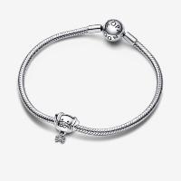 CHARM PANDORA CHIEN & OS 