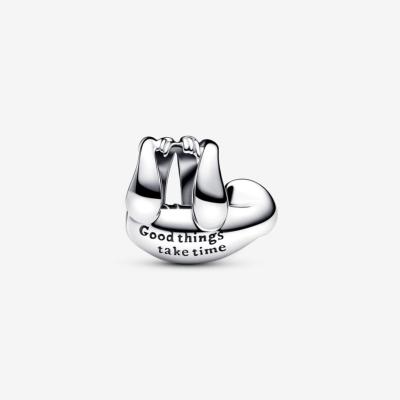 CHARM PANDORA PARESSEUX 