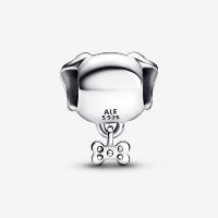 CHARM PANDORA CHIEN & OS 