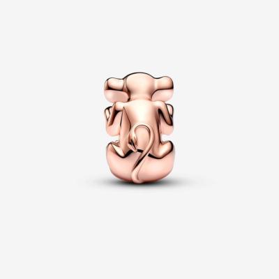 CHARM PANDORA "LE ROI LION NALA"
